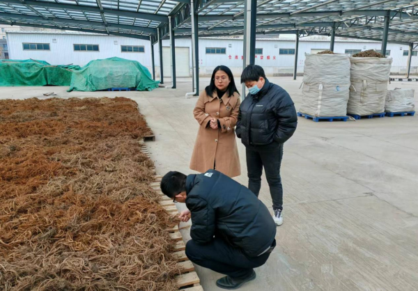 1737770504981862.png 圖片1_副本.png